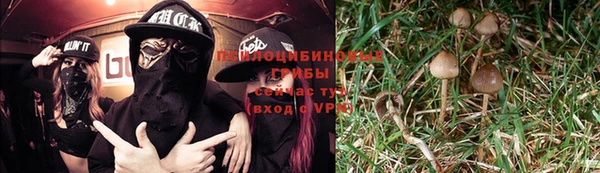 ALPHA-PVP Осинники