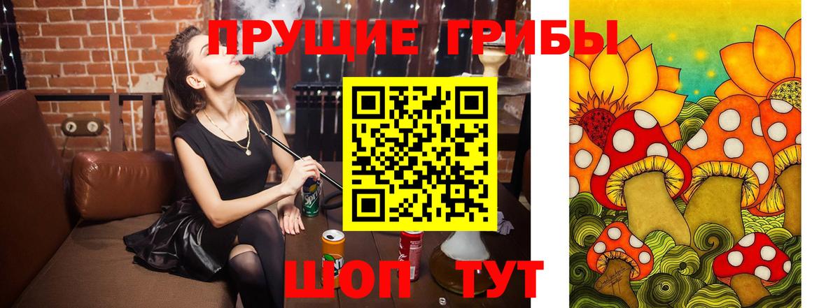 Приморско-Ахтарск  Псилоцибиновые грибы Cubensis  Вход с VPN 