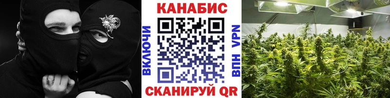 где купить наркотик  Приморско-Ахтарск  маркетплейс телеграм  Бошки Шишки Bruce Banner 
